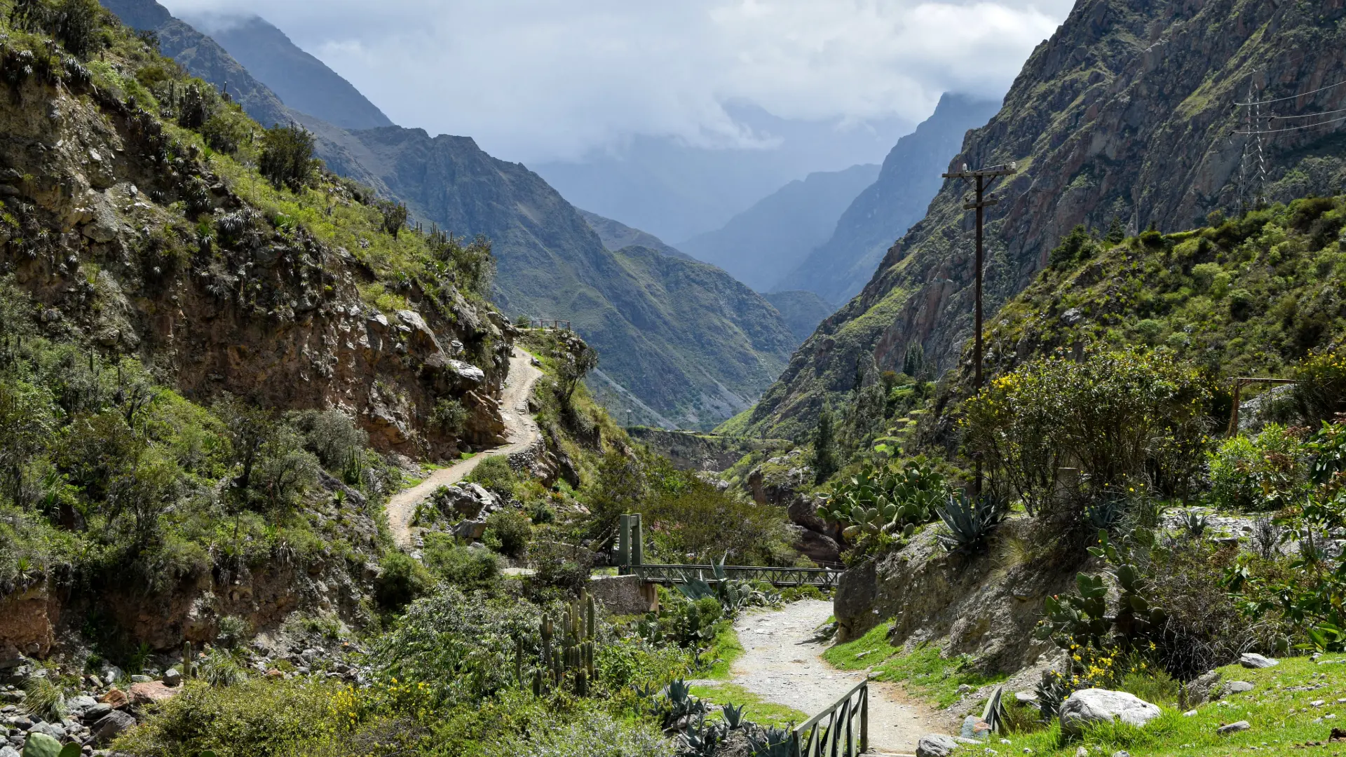 Camino-Inca-C-4